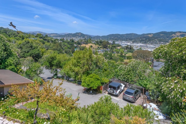 221 Tiburon Blvd, San Rafael, CA 94901 - aerial view of mountains