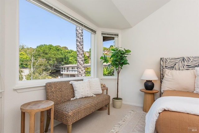 1 Courtney Ln, Mill Valley, CA 94941 - bedroom with carpet floors, lofted ceiling, and baseboards
