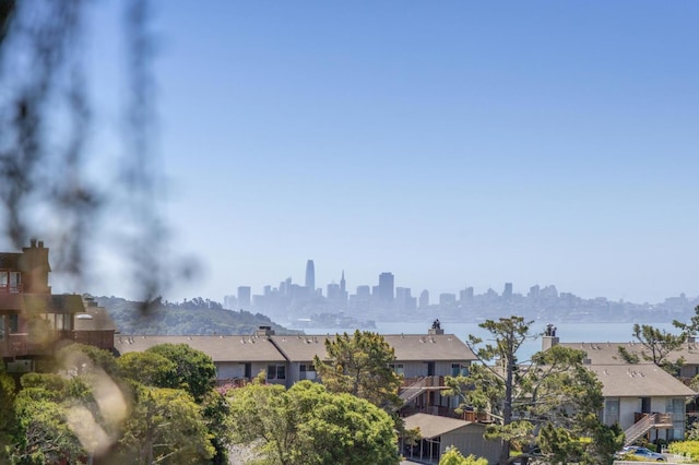 78 Marinero Cir, Tiburon, CA 94920 - skyline view