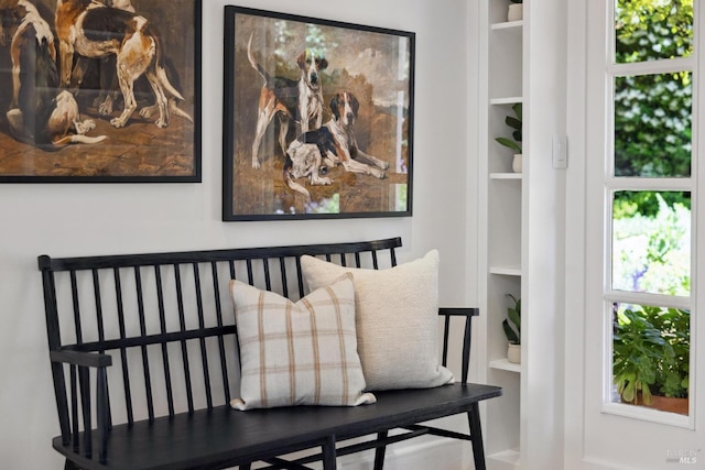 25 Winship Ave, Ross, CA 94957 - living area with built in shelves
