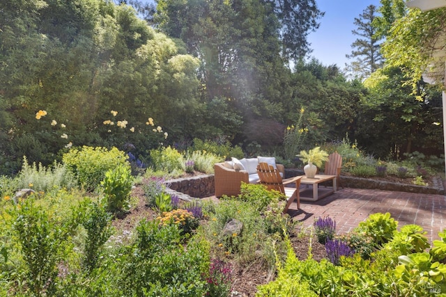 25 Winship Ave, Ross, CA 94957 - view of patio
