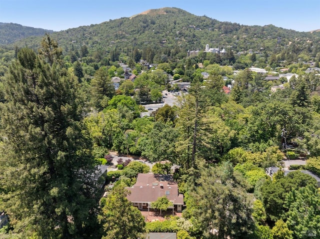 25 Winship Ave, Ross, CA 94957 - view of property location featuring a mountain backdrop and a forest