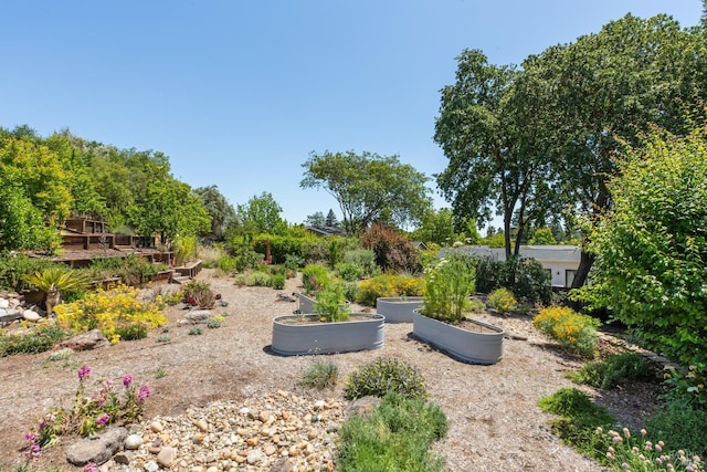 806 Paxton Villa Ct, Novato, CA 94947 - view of yard featuring a garden