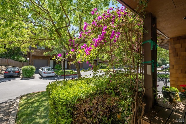 13 Freedom Ln S, Petaluma, CA 94952 - view of yard