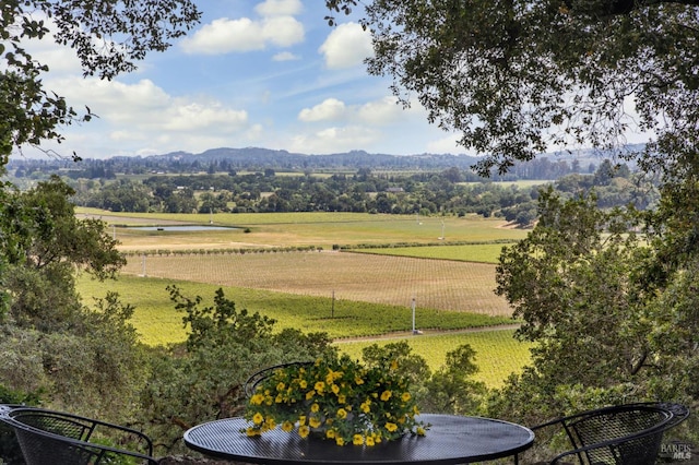 5768 Silverado Trl, Napa, CA 94558 - mountain view with rural landscape