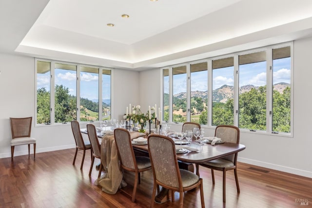 5768 Silverado Trl, Napa, CA 94558 - dining space with a tray ceiling, dark wood finished floors, baseboards, and a mountain view