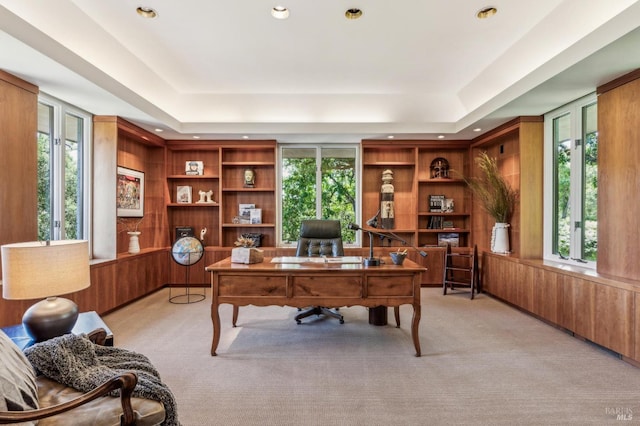 5768 Silverado Trl, Napa, CA 94558 - office featuring a raised ceiling, plenty of natural light, light carpet, and recessed lighting