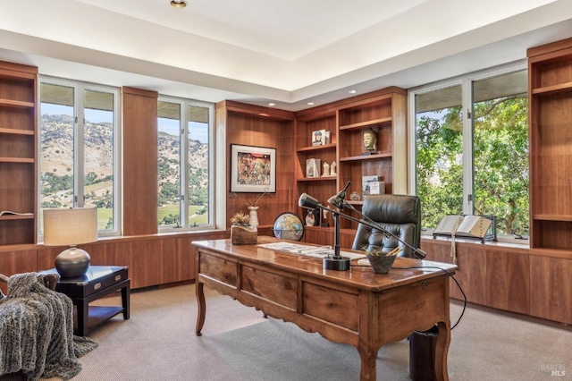 5768 Silverado Trl, Napa, CA 94558 - office featuring light carpet and recessed lighting