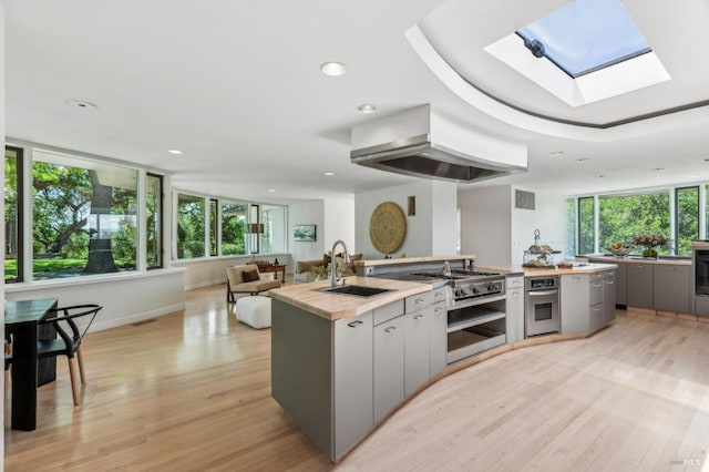 5768 Silverado Trl, Napa, CA 94558 - kitchen featuring a sink, gray cabinetry, stainless steel appliances, a skylight, and a center island with sink