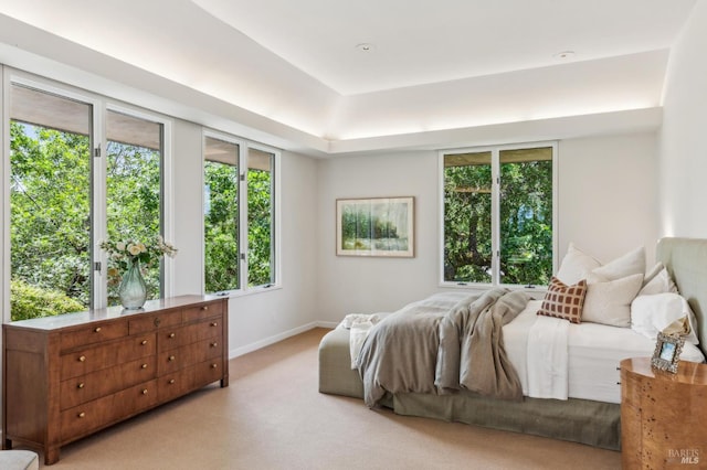 5768 Silverado Trl, Napa, CA 94558 - bedroom with multiple windows, light carpet, and baseboards