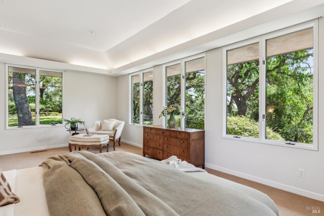 5768 Silverado Trl, Napa, CA 94558 - bedroom featuring baseboards, carpet, and a raised ceiling
