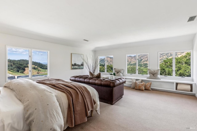 5768 Silverado Trl, Napa, CA 94558 - bedroom with multiple windows and carpet floors