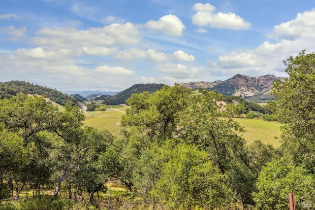 5768 Silverado Trl, Napa, CA 94558 - view of mountain backdrop featuring rural landscape