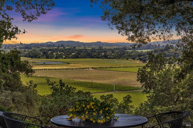 5768 Silverado Trl, Napa, CA 94558 - view of mountain background