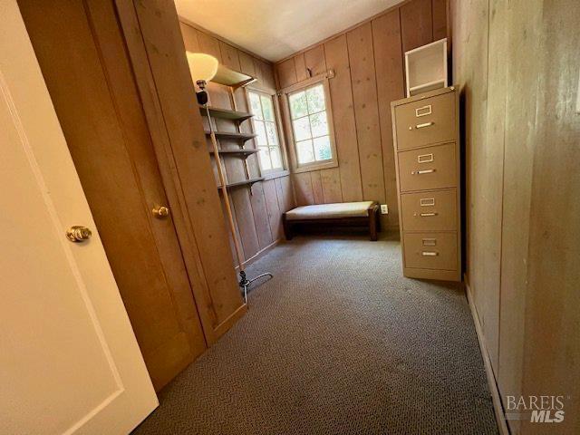 121 W Blithedale Ave, Mill Valley, CA 94941 - carpeted bedroom featuring wood walls