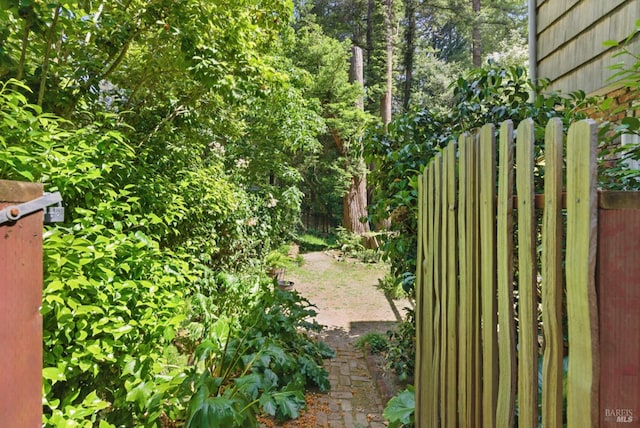 121 W Blithedale Ave, Mill Valley, CA 94941 - view of yard