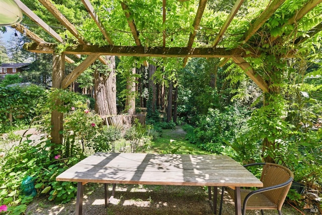 121 W Blithedale Ave, Mill Valley, CA 94941 - view of patio