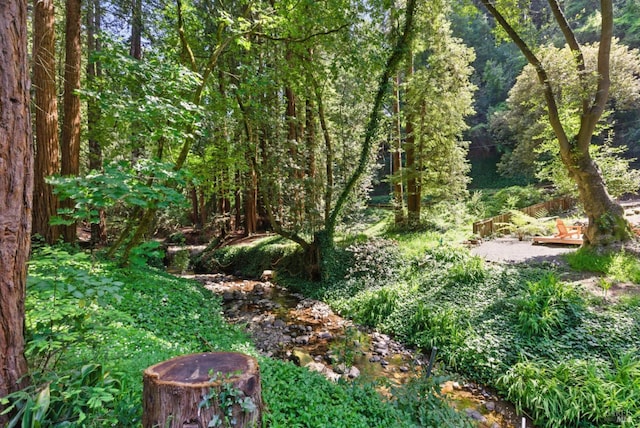 121 W Blithedale Ave, Mill Valley, CA 94941 - view of wooded area