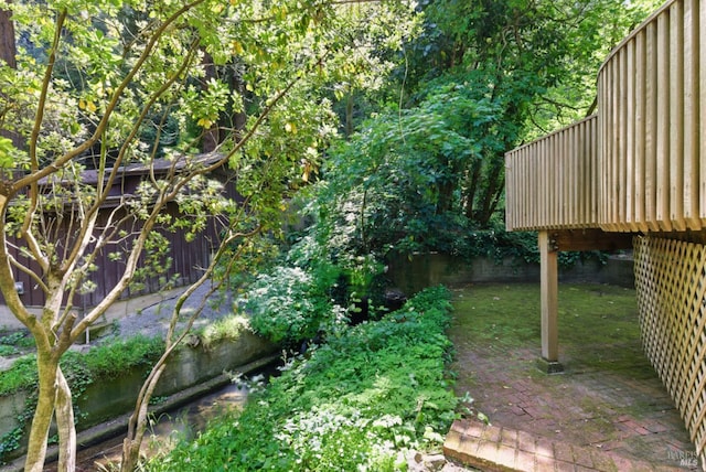 121 W Blithedale Ave, Mill Valley, CA 94941 - view of yard