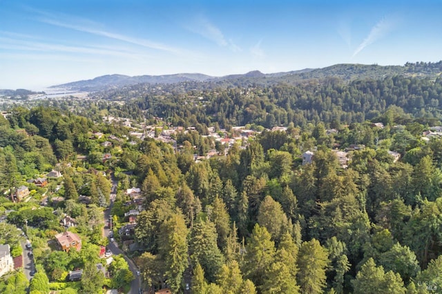 121 W Blithedale Ave, Mill Valley, CA 94941 - view of property location with a forest and a mountain backdrop