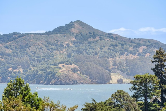 616 Locust St, Sausalito, CA 94965 - mountain view with a large body of water