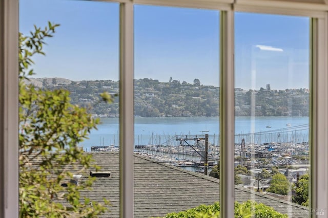 616 Locust St, Sausalito, CA 94965 - water view with numerous boat docks