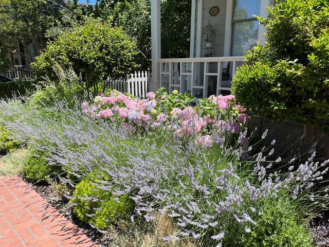 406 Franklin St, Napa, CA 94559 - exterior view