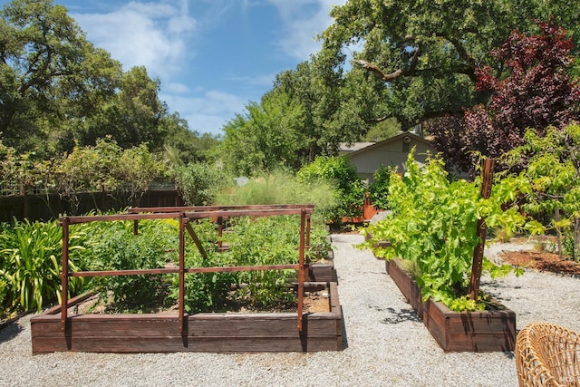 260 Geysers Rd, Cloverdale, CA 95425 - view of yard with a vegetable garden