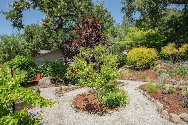 260 Geysers Rd, Cloverdale, CA 95425 - view of yard