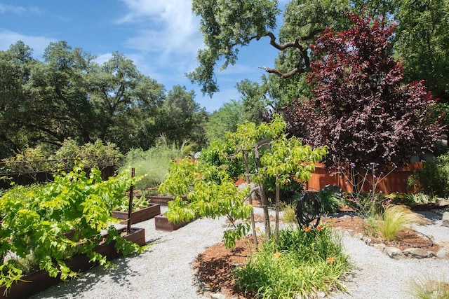 260 Geysers Rd, Cloverdale, CA 95425 - view of community featuring a garden