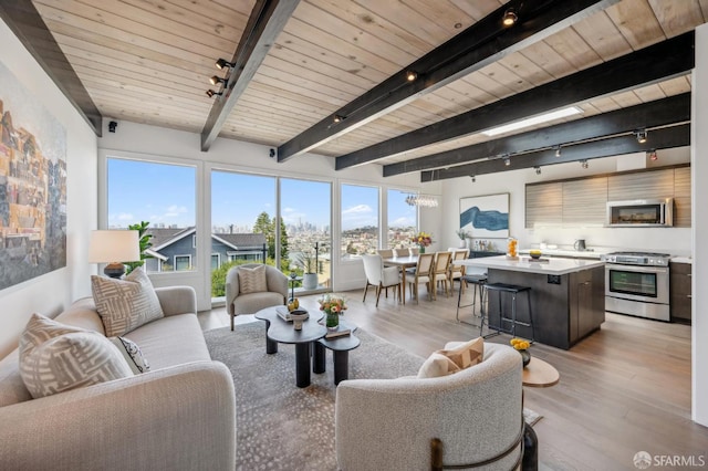 56 Aztec St, San Francisco, CA 94110 - living area with track lighting, light wood-type flooring, and wood ceiling with exposed beams