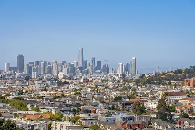 56 Aztec St, San Francisco, CA 94110 - view of city skyline