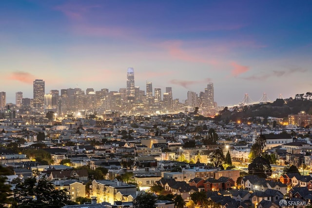 56 Aztec St, San Francisco, CA 94110 - skyline view