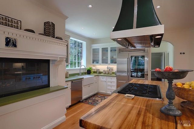 3850 Montecito Ave, Santa Rosa, CA 95404 - kitchen featuring island exhaust hood, appliances with stainless steel finishes, ornamental molding, a sink, and light wood-style floors