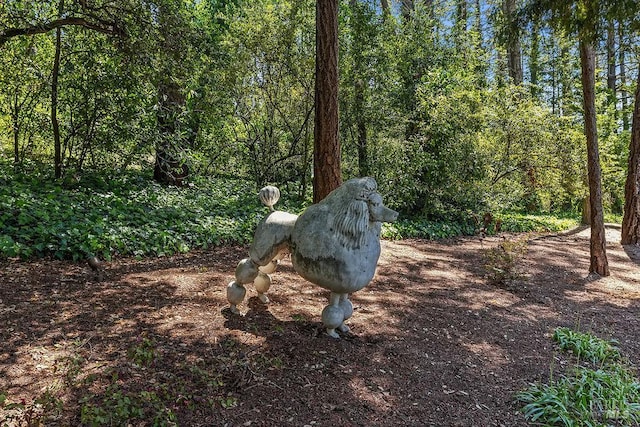 3850 Montecito Ave, Santa Rosa, CA 95404 - exterior view of a heavily wooded area