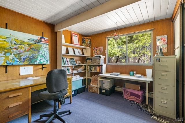 2235 Juniperberry Dr, San Rafael, CA 94903 - carpeted office with wooden walls, a baseboard radiator, and wood ceiling with exposed beams