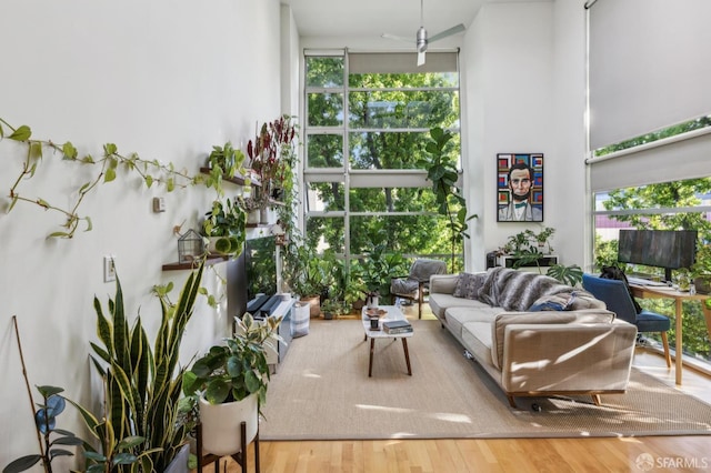 699 Pennsylvania Ave Unit 10, San Francisco, CA 94107 - living room featuring a wall of windows, plenty of natural light, and wood finished floors