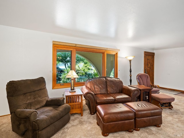 1010 Easum Dr, Napa, CA 94558 - carpeted living area featuring baseboards