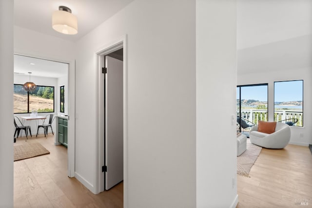 34 Laurel Dr, Corte Madera, CA 94925 - corridor featuring light wood-style flooring, healthy amount of natural light, baseboards, and a water view