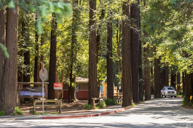 225 W Baltimore Ave, Larkspur, CA 94939 - view of property's community with driveway and a forest view