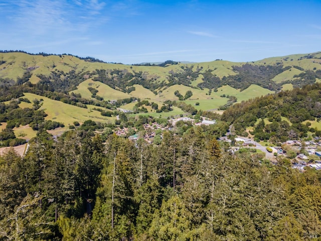 192 Carson Rd, Woodacre, CA 94973 - mountain view