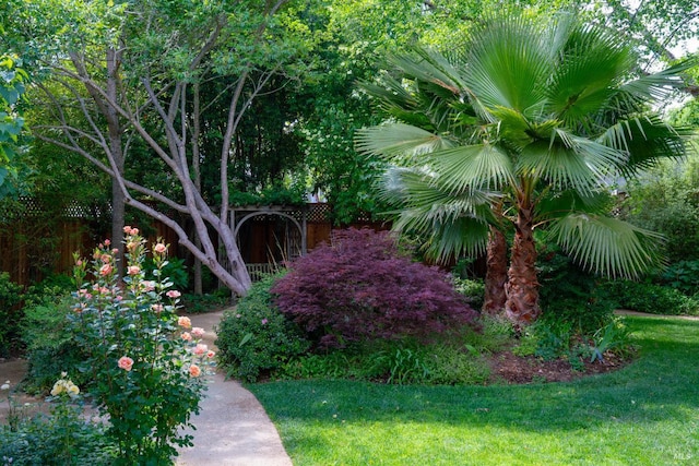 1330 Pine St, Saint Helena, CA 94574 - view of yard