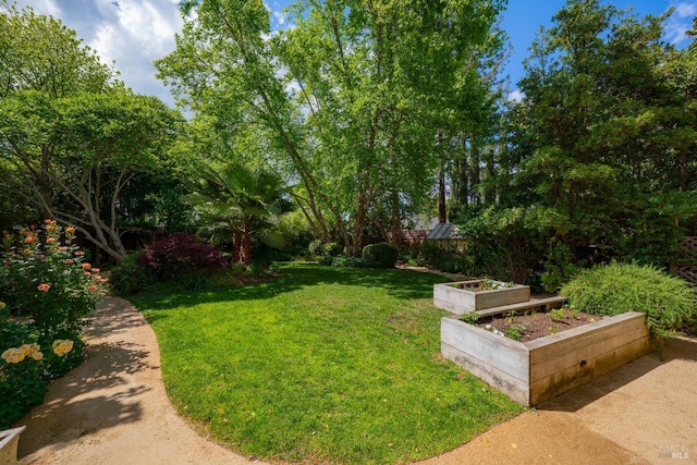 1330 Pine St, Saint Helena, CA 94574 - view of grassy yard featuring a garden