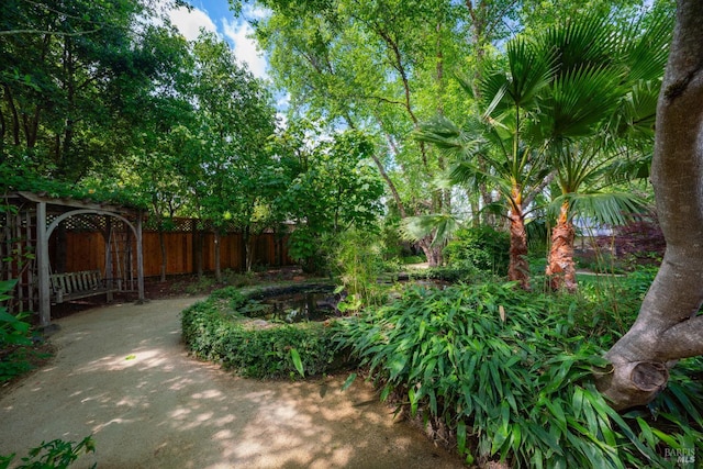 1330 Pine St, Saint Helena, CA 94574 - view of yard