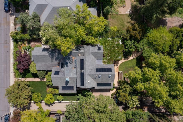 1330 Pine St, Saint Helena, CA 94574 - view of subject property
