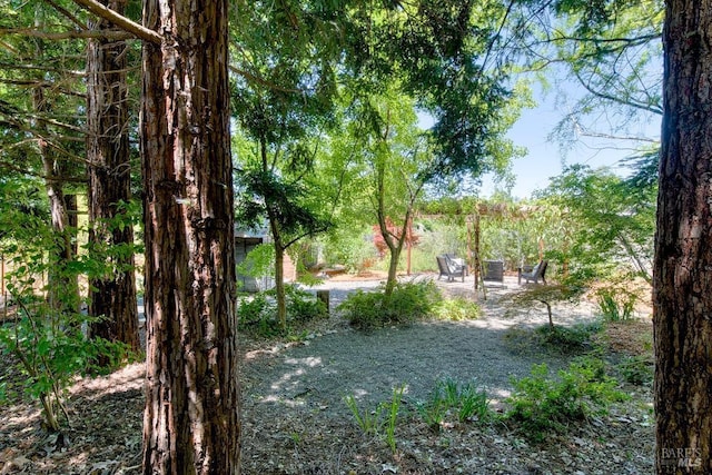 3051 Edison St, Graton, CA 95444 - view of yard featuring a patio area