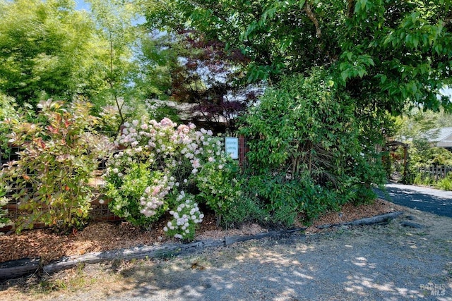 3051 Edison St, Graton, CA 95444 - view of yard