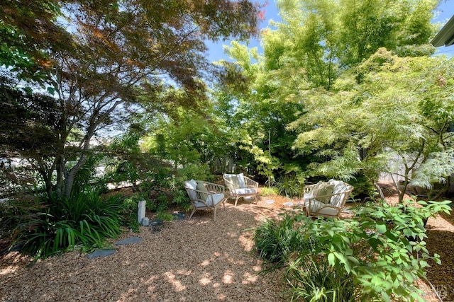 3051 Edison St, Graton, CA 95444 - view of yard