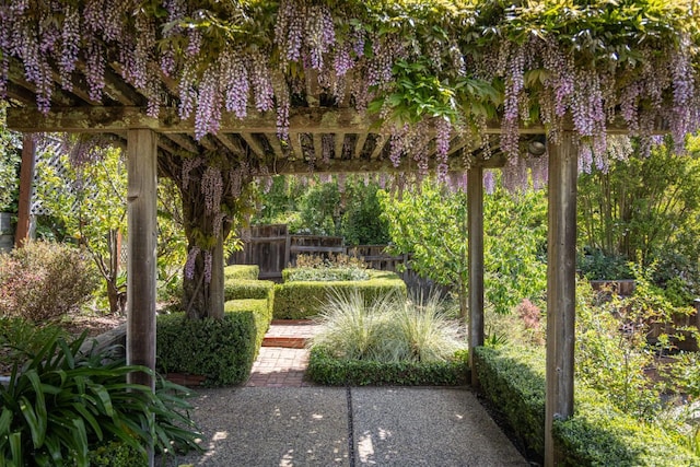217 Locust Ave, San Rafael, CA 94901 - view of yard