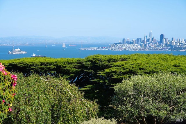 4 Cloud View Cir, Sausalito, CA 94965 - water view with city skyline